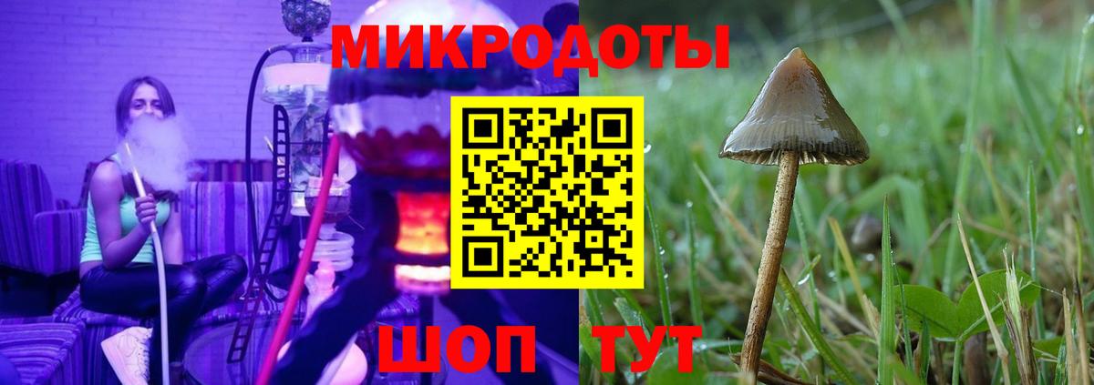 Людиново  Псилоцибиновые грибы Psilocybe  Вход с VPN  Псилоцибиновые грибы Psilocybine cubensis 